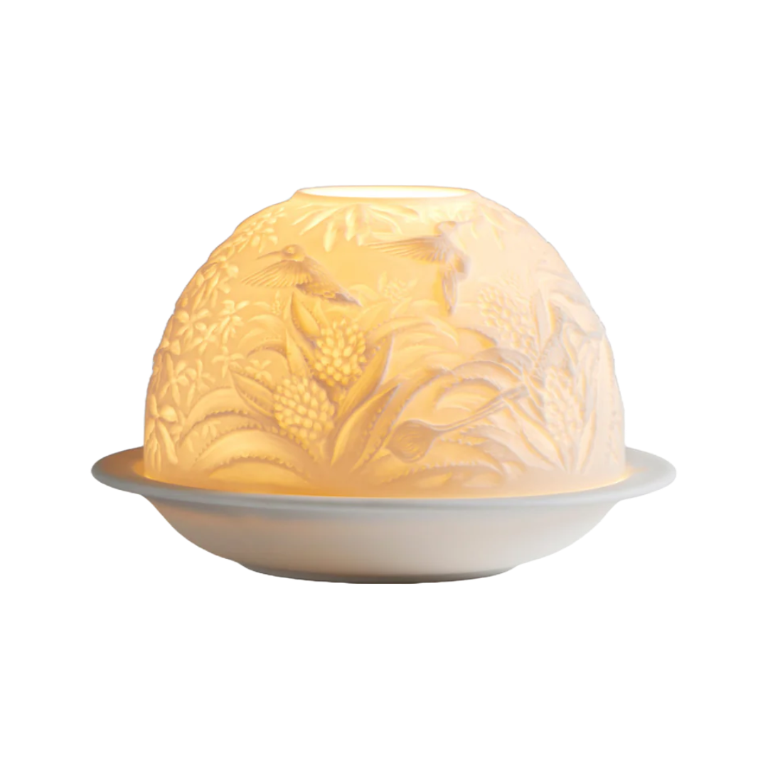 Untitled - 2025-05-14T104146.683